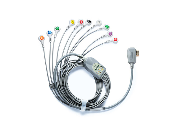 V&H LCD 24 Hours Ambulatory Holter ECG Monitoring With Pacemaker Analysis